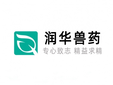 关于新宝GG
